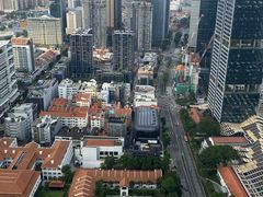 -新加坡瑞士史丹福酒店