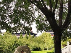 -大槐树寻根祭祖园