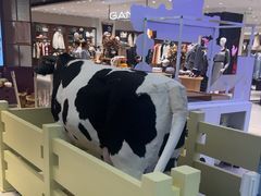 -红星前进面包牛奶公司(君太店)