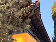 -挂甲禅寺