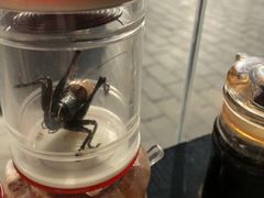 -卤煮老北京酱肉馆