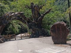 -龙湾潭国家森林公园