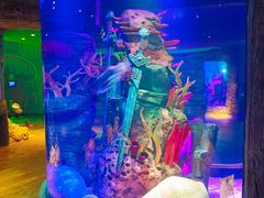 -沈阳海洋探索中心