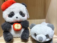 -轩客会(熊猫书店)