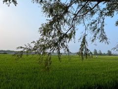 -嘉北郊野公园