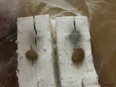 -芝兰斋糕干店(平山道店)