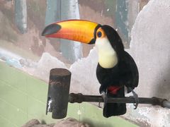 -石家庄市动物园