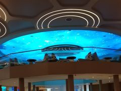 -浦乐汇·汤泉水世界