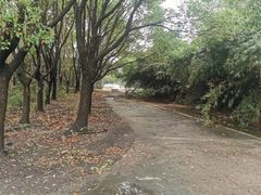 -胜华驾校·小猫学车(银都店)