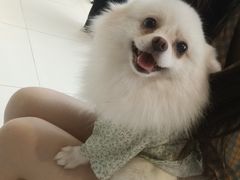 -怪兽屋·羊驼·猫咖·狗咖(俊华广场店)