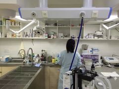 -爱侣宠医·鹦鹉专科·小型哺乳类·异宠专科(灵石路店)