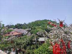 -泰山风景名胜区