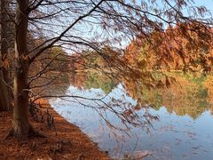 -上海海湾国家森林公园