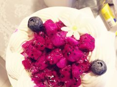 -幸福鸟动物奶油生日蛋糕(军校店)
