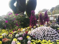 -旺晖本帮骨头煲·深夜火锅(梅园路店)