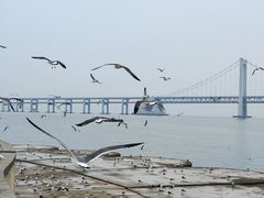 -星海广场