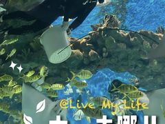 -海合安武汉极地海洋公园