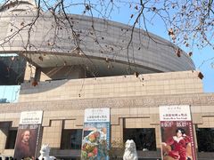 -上海博物馆(人民广场馆)