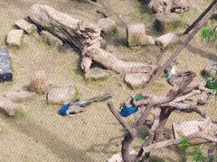 -武汉动物园
