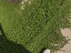 -河南省体育场馆中心游泳馆