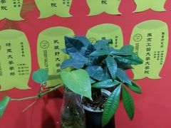 -学习谷日语培训日本留学·多语种外语教学(海淀人大分部)