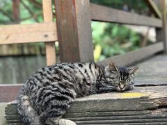 -都江堰普照寺
