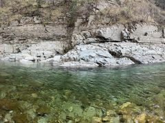 -黑河国家森林公园