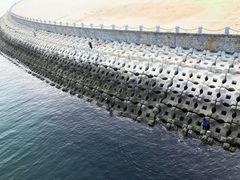 -星海湾跨海大桥