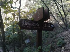 -雾灵西峰
