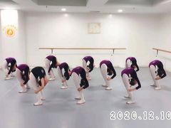 -西安小天鹅艺术团(金花路校区)