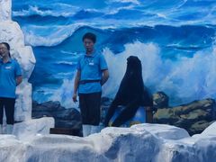 -左海海底世界