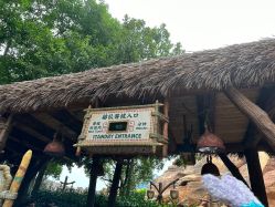 -翱翔飞越地平线