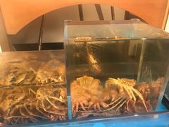 -蟹道乐(京都本店)