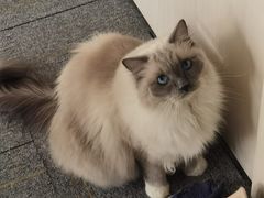 -零纪元VR体验馆·桌游(黄浦店)