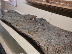 -上海中国航海博物馆