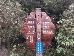 -梧桐山风景名胜区