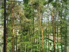 -凯撒森林温泉度假酒店怡景餐厅