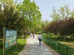 -泰丰公园