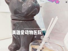 -美迦爱-动物医院·骨科·牙科·夜诊(朝阳路诊疗中心)
