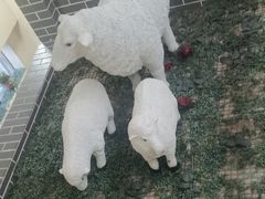 -石榴花开餐厅