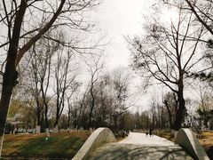 -长白岛森林公园