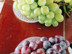 -马陆小张葡萄园农家乐