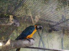 -多彩贵州城极地海洋世界