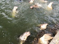 -华夏文旅海洋公园