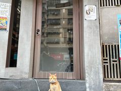 -Again Coffee Roaster(香蜜湖店)