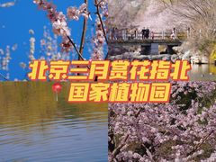 -国家植物园