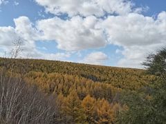 -塞罕坝国家级自然保护区