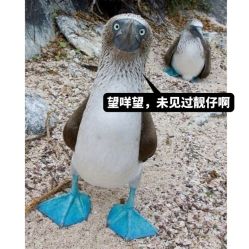 点击看大图 -Touch Nail·品质·美甲美睫