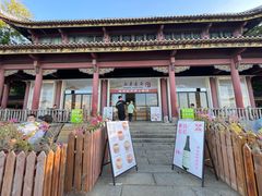 -顺峰山公园