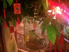 大堂-杨记隆府(南坪店)